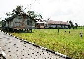 Foto: Cilts sievietes un saldūdens delfīnu meklējumi Borneo